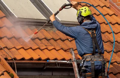 Démoussage et hydrofuge de toiture à Réguiny